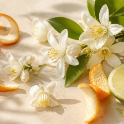 Fiore d'Arancio