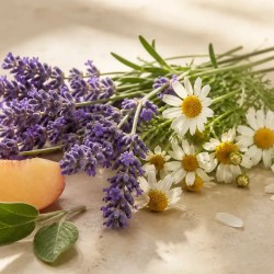 Camomilla & Lavanda
